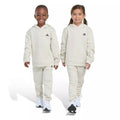 Adidas Minimal Logo Fleece Pullover Set