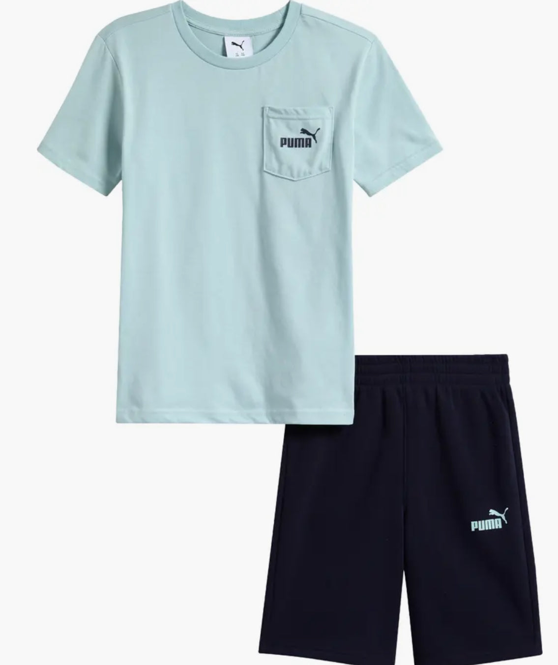 Puma Shorts Set