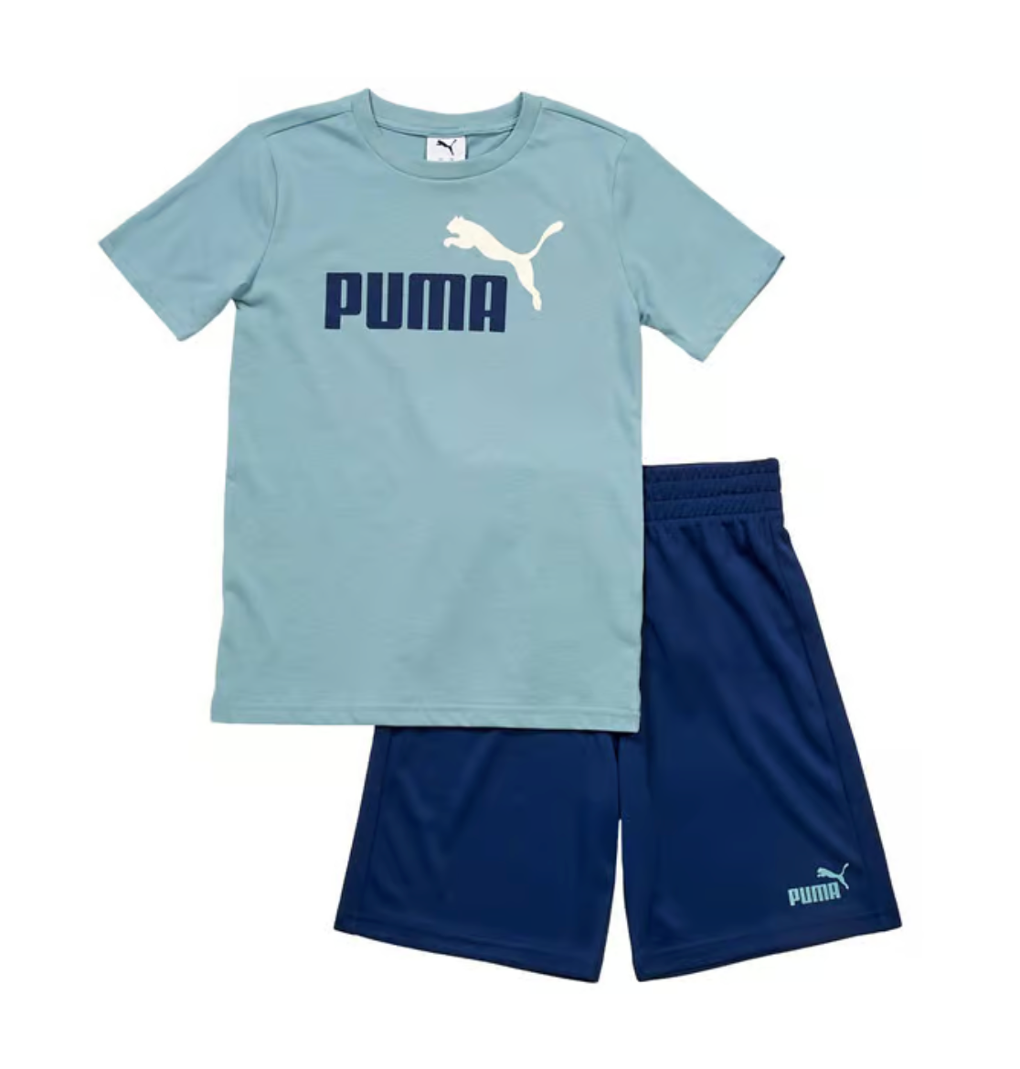 Puma Shorts Set